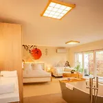 Zen, Proche Basel, Ambiance Japonaise & Calme Saint-Louis (Haut-Rhin)